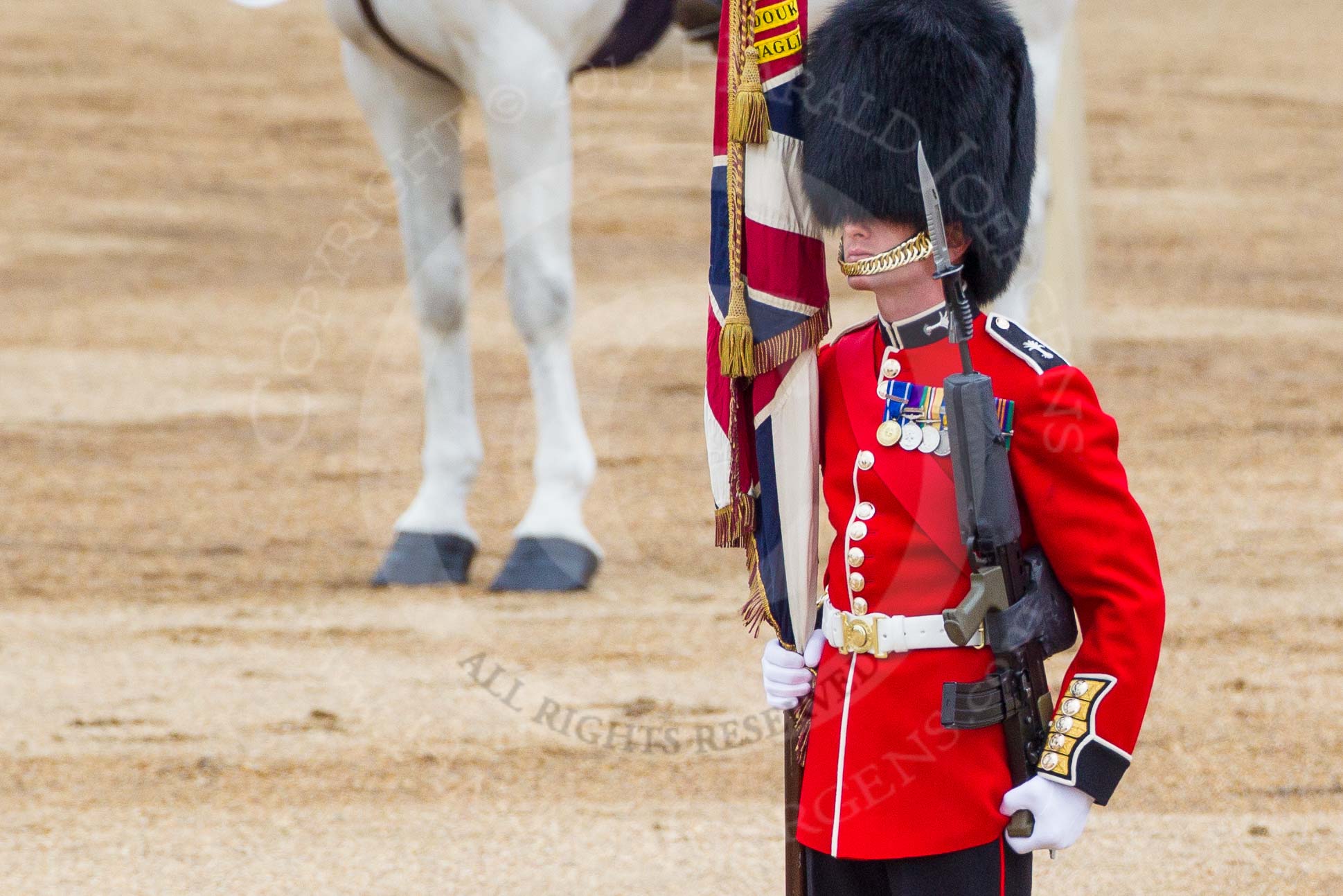 Major General's Review 2013: Colour Sergeant R J Heath, Welsh Guards..
Horse Guards Parade, Westminster,
London SW1,

United Kingdom,
on 01 June 2013 at 11:17, image #384