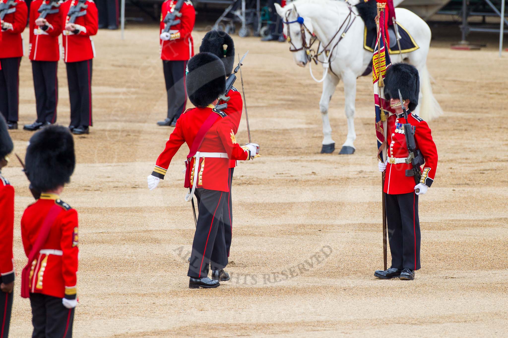 Major General's Review 2013: No. 1 Guard the Regimental Sergeant Major, WO1 Martin Topps, Welsh Guards marches forward followed by the Ensign..
Horse Guards Parade, Westminster,
London SW1,

United Kingdom,
on 01 June 2013 at 11:18, image #389