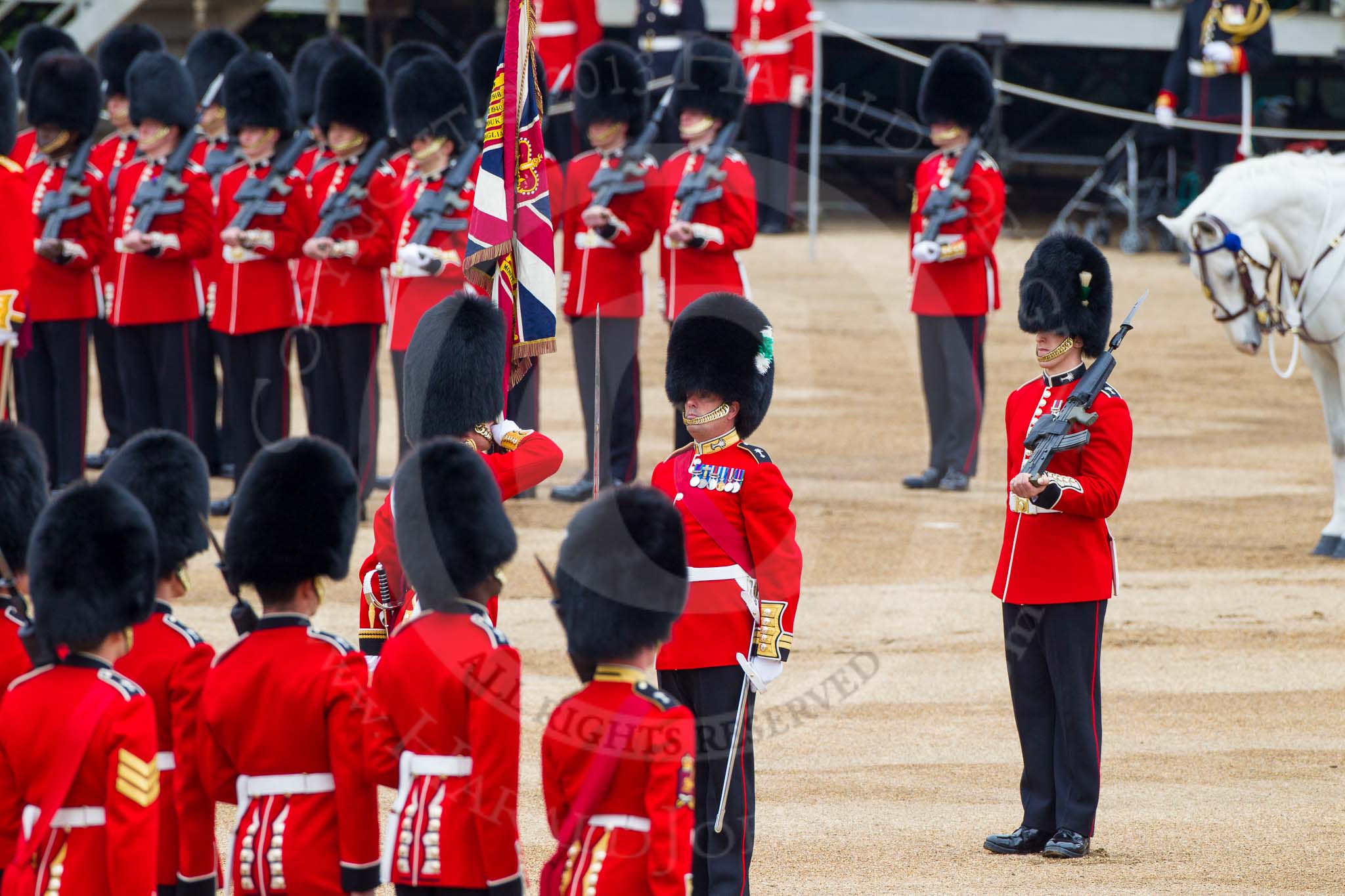 Major General's Review 2013: The Ensign, Second Lieutenant Joel Dinwiddle, takes posession of the Colour from the Regimental Sergeant Major, WO1 Martin Topps, Welsh Guards..
Horse Guards Parade, Westminster,
London SW1,

United Kingdom,
on 01 June 2013 at 11:19, image #403