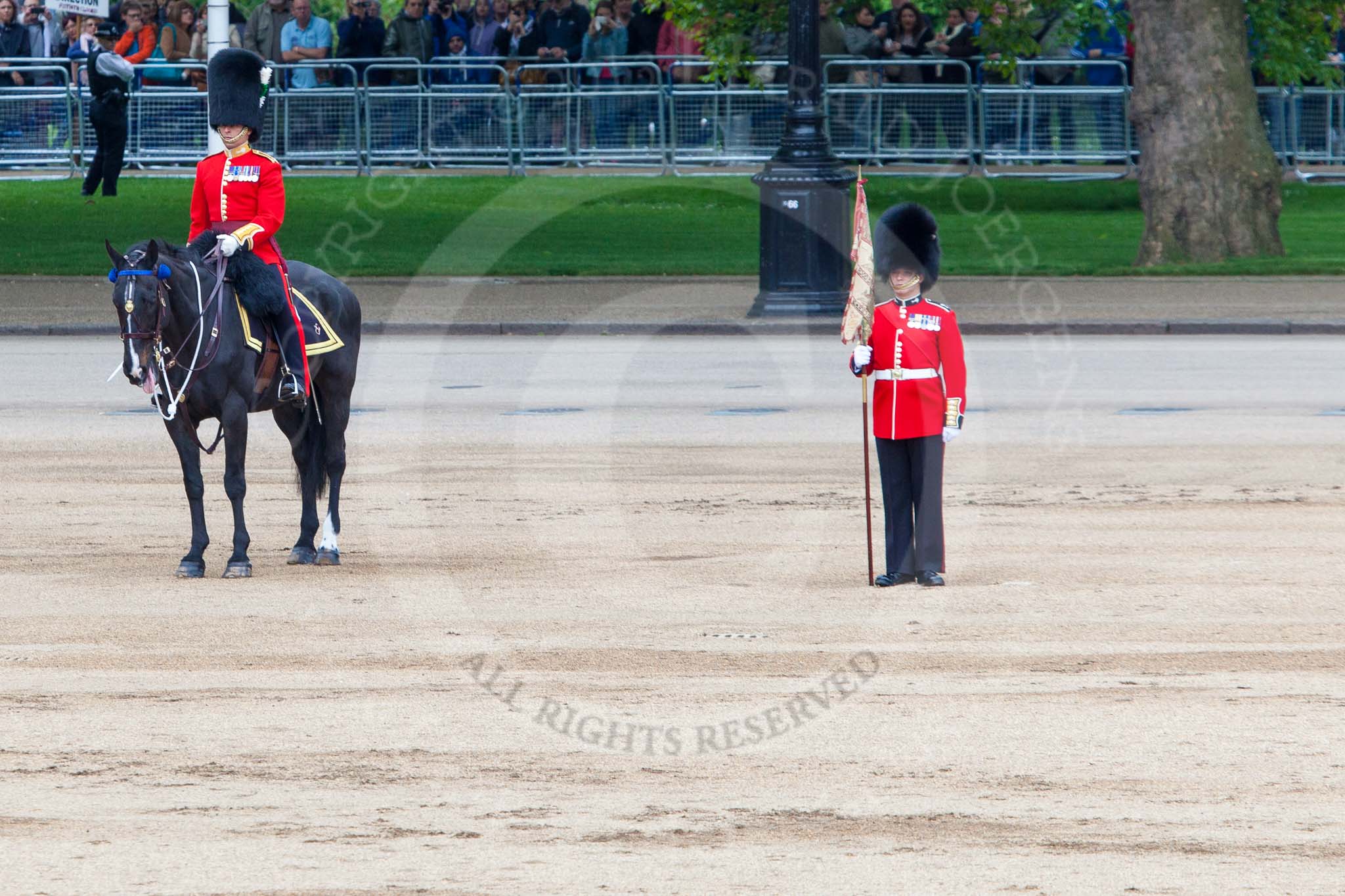 Major General's Review 2013: Major of the Parade Major H G C  Bettison, Welsh Guards and Guardsmean marking the position for no.1 Guards..
Horse Guards Parade, Westminster,
London SW1,

United Kingdom,
on 01 June 2013 at 11:23, image #426
