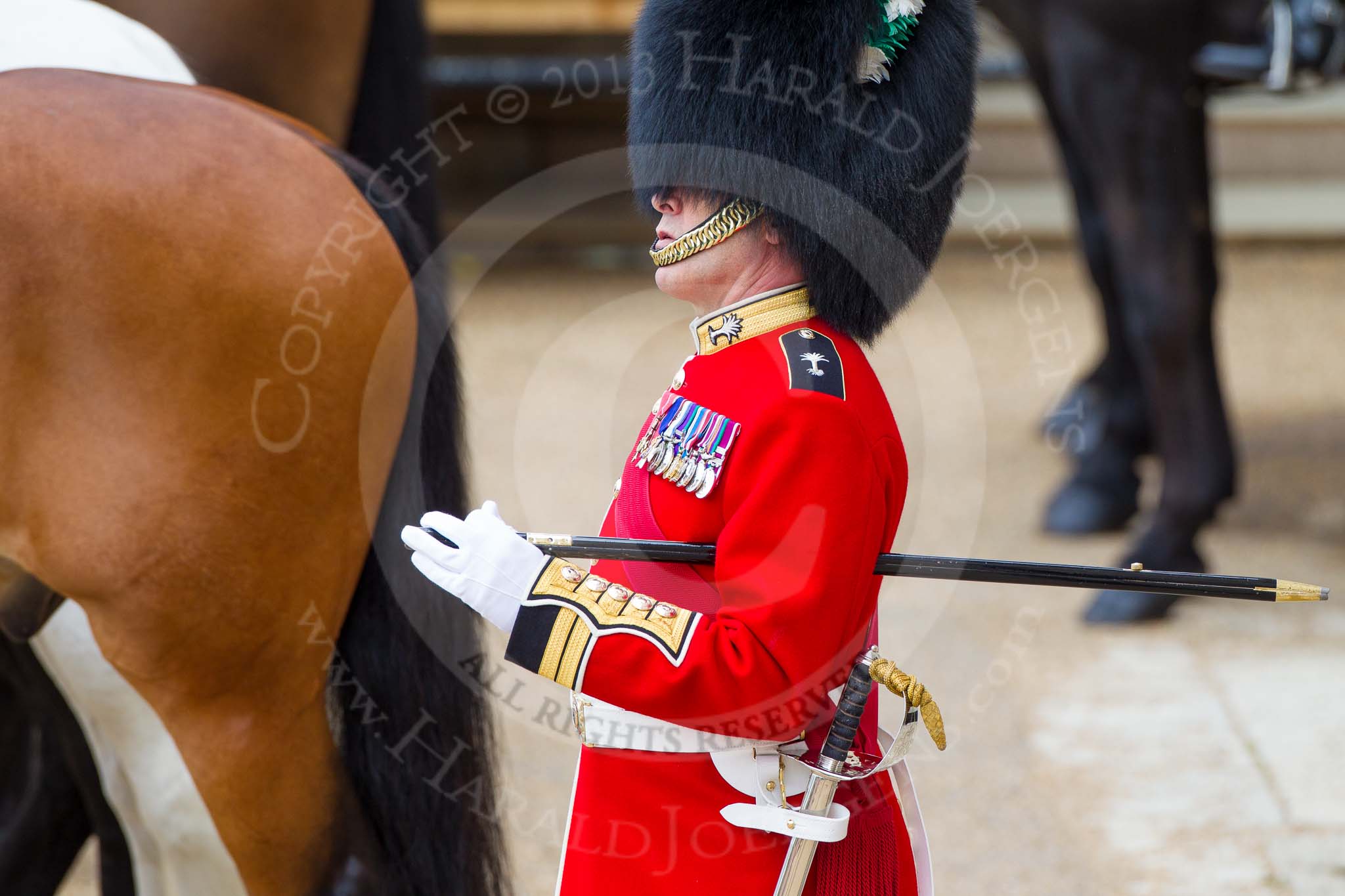 Major General's Review 2013: Garrison Sergeant Major, London District Warrant Officer Class 1 W D G Mott..
Horse Guards Parade, Westminster,
London SW1,

United Kingdom,
on 01 June 2013 at 11:43, image #550