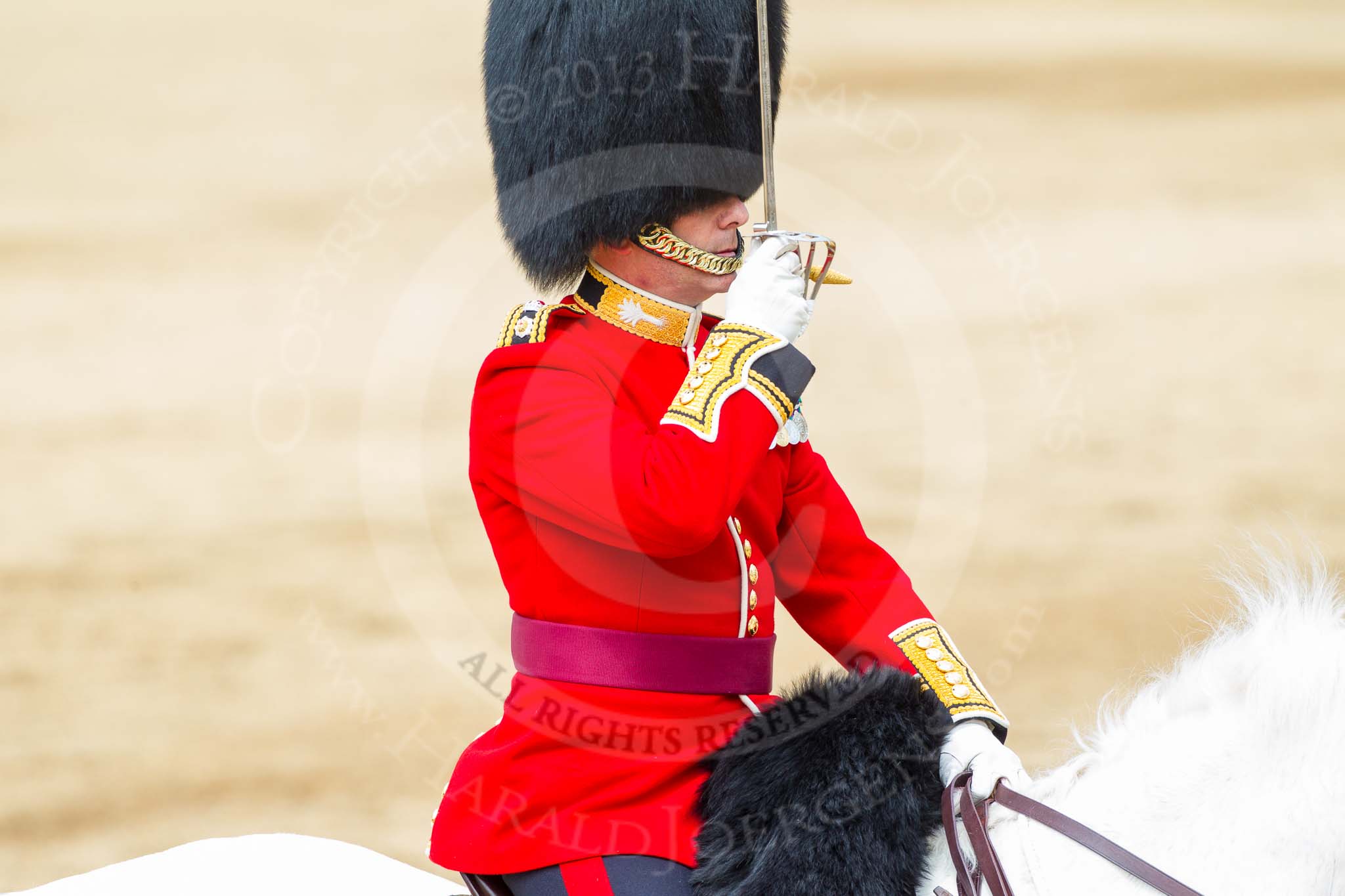 Major General's Review 2013: The Field Officer in Brigade Waiting, Lieutenant Colonel Dino Bossi, Welsh Guards, rides towards the dais to ask HM The Queen's permission to march off..
Horse Guards Parade, Westminster,
London SW1,

United Kingdom,
on 01 June 2013 at 12:05, image #699