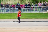 Major General's Review 2013: Drum Major Tony Taylor, Coldstream Guards, leading the Band of the Irish Guards..
Horse Guards Parade, Westminster,
London SW1,

United Kingdom,
on 01 June 2013 at 10:16, image #62