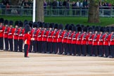 Major General's Review 2013: Captain P W Foster with No. 5 Guard F Company Scots Guards..
Horse Guards Parade, Westminster,
London SW1,

United Kingdom,
on 01 June 2013 at 10:25, image #85