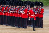 Major General's Review 2013: Colour Sergeant D S Morgan with No. 3 Guard,1st Battalion Welsh Guards..
Horse Guards Parade, Westminster,
London SW1,

United Kingdom,
on 01 June 2013 at 10:28, image #104