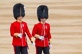 Major General's Review 2013: Captain F O Lloyd-George No.1 Guard 1 st Battalion Welsh Guards and Captain B Bardsley No.2 Guard 1st Battalion Welsh Guards..
Horse Guards Parade, Westminster,
London SW1,

United Kingdom,
on 01 June 2013 at 10:33, image #136