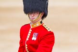 Major General's Review 2013: The Adjutant of the Parade, Captain C J P Davies, Welsh Guards..
Horse Guards Parade, Westminster,
London SW1,

United Kingdom,
on 01 June 2013 at 10:39, image #163