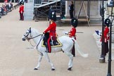 Major General's Review 2013: The Field Officer in Brigade Waiting, Lieutenant Colonel D L W Bossi, Welsh Guards, riding onto Horse Guards Parade..
Horse Guards Parade, Westminster,
London SW1,

United Kingdom,
on 01 June 2013 at 10:40, image #168