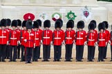 Major General's Review 2013: No.3 Guard 1 st Battalion Welsh Guards..
Horse Guards Parade, Westminster,
London SW1,

United Kingdom,
on 01 June 2013 at 10:42, image #179