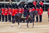 Major General's Review 2013: The head of the Royal Procession during the Inspection of the Line - Bridge Major Household Division Lieutenant Colonel S G Soskin,Grendier Guards followed by four tropper of The Life Guards..
Horse Guards Parade, Westminster,
London SW1,

United Kingdom,
on 01 June 2013 at 11:02, image #288