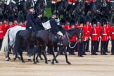 Major General's Review 2013: A two gentlemen, a Captain and Lieutenant Colonel representing Royal Colonels during Inspection of The Line at Horse Guards Parade..
Horse Guards Parade, Westminster,
London SW1,

United Kingdom,
on 01 June 2013 at 11:03, image #292