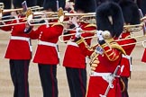 Major General's Review 2013: Senior Drum Major M J Betts, Grenadier Guards..
Horse Guards Parade, Westminster,
London SW1,

United Kingdom,
on 01 June 2013 at 11:10, image #333