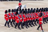 Major General's Review 2013: The March Past in Slow Time-No.6 Guard, No.7 Company, Coldstream Guards..
Horse Guards Parade, Westminster,
London SW1,

United Kingdom,
on 01 June 2013 at 11:36, image #507