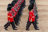 Major General's Review 2013: The March Past in Slow Time-Welsh Guards..
Horse Guards Parade, Westminster,
London SW1,

United Kingdom,
on 01 June 2013 at 11:35, image #500