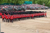 Major General's Review 2013: The March Past in Slow Time-No.4 Guard Nijmegen Company Grenadier Guards..
Horse Guards Parade, Westminster,
London SW1,

United Kingdom,
on 01 June 2013 at 11:35, image #501