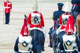 Major General's Review 2013: The four troopers of The Blues and Royals are about to join the four troopers of The Life Guards..
Horse Guards Parade, Westminster,
London SW1,

United Kingdom,
on 01 June 2013 at 12:10, image #728