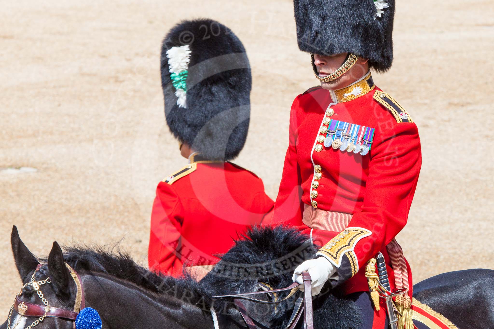 Trooping the Colour 2013: Close-up view of the Major of the Parade, Major H G C Bettinson, Welsh Guards. Image #142, 15 June 2013 10:37 Horse Guards Parade, London, UK