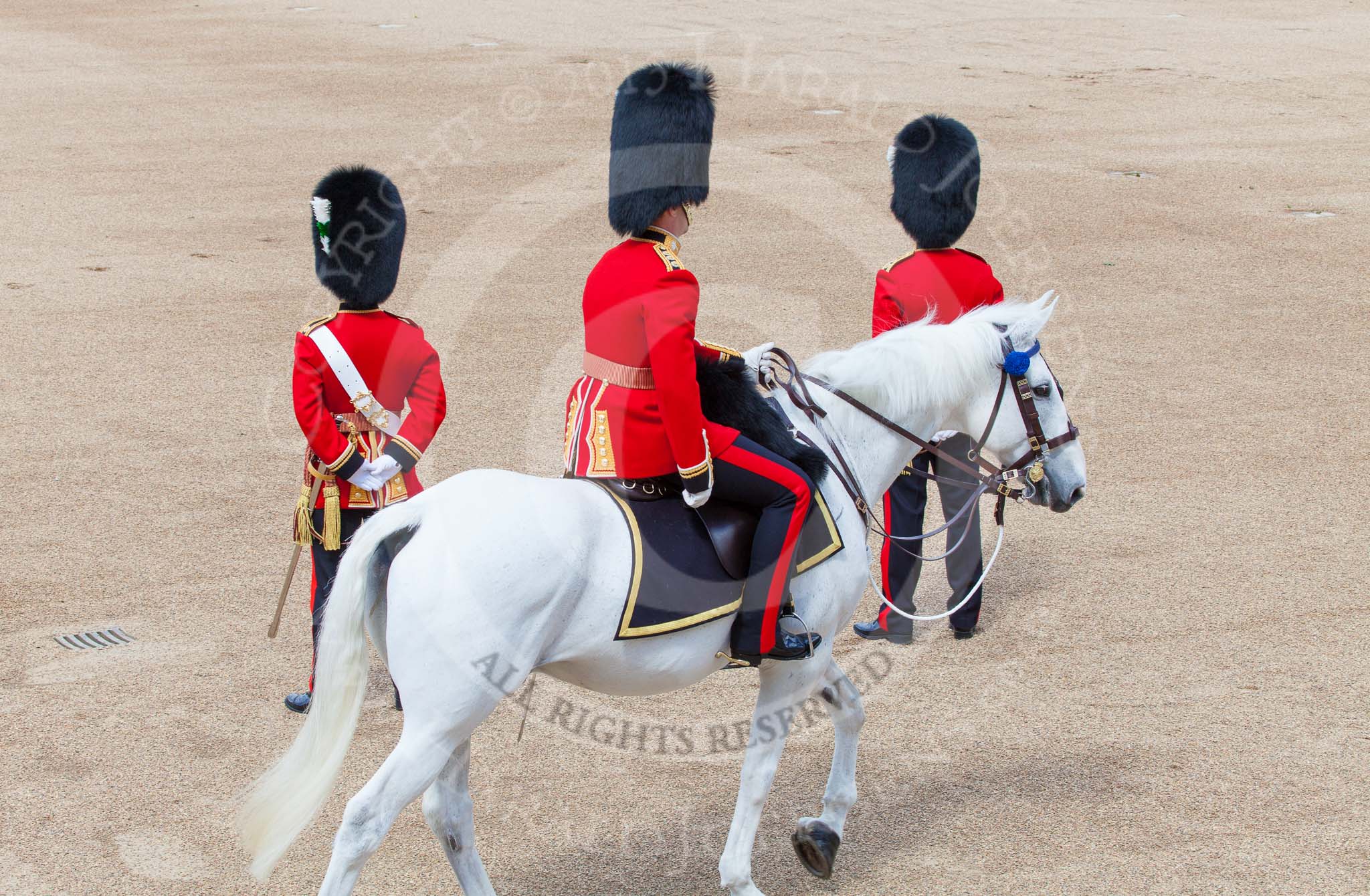 Trooping the Colour 2013: The Adjutant of the Parade, Captain C J P Davies, Welsh Guards, riding behind the line of 18 officers, here passing the Ensign with the white colour belt. Image #151, 15 June 2013 10:39 Horse Guards Parade, London, UK