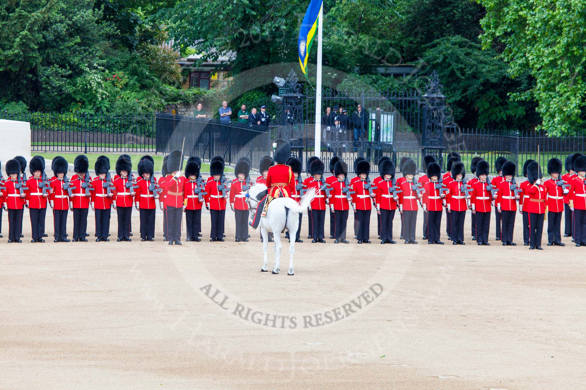 Trooping the Colour 2013: The Field Officer addresses the Guards. Image #167, 15 June 2013 10:42 Horse Guards Parade, London, UK
