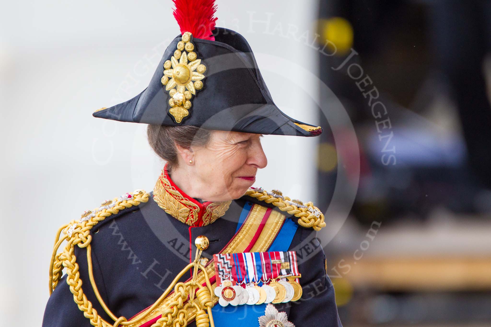 Trooping the Colour 2013: Close-up of HRH The Princess Royal, Colonel The Blues and Royals (Royal Horse Guards and 1st Dragoons), smiling, on horseback during the Inspection of the line..
Horse Guards Parade, Westminster,
London SW1,

United Kingdom,
on 15 June 2013 at 11:02, image #312