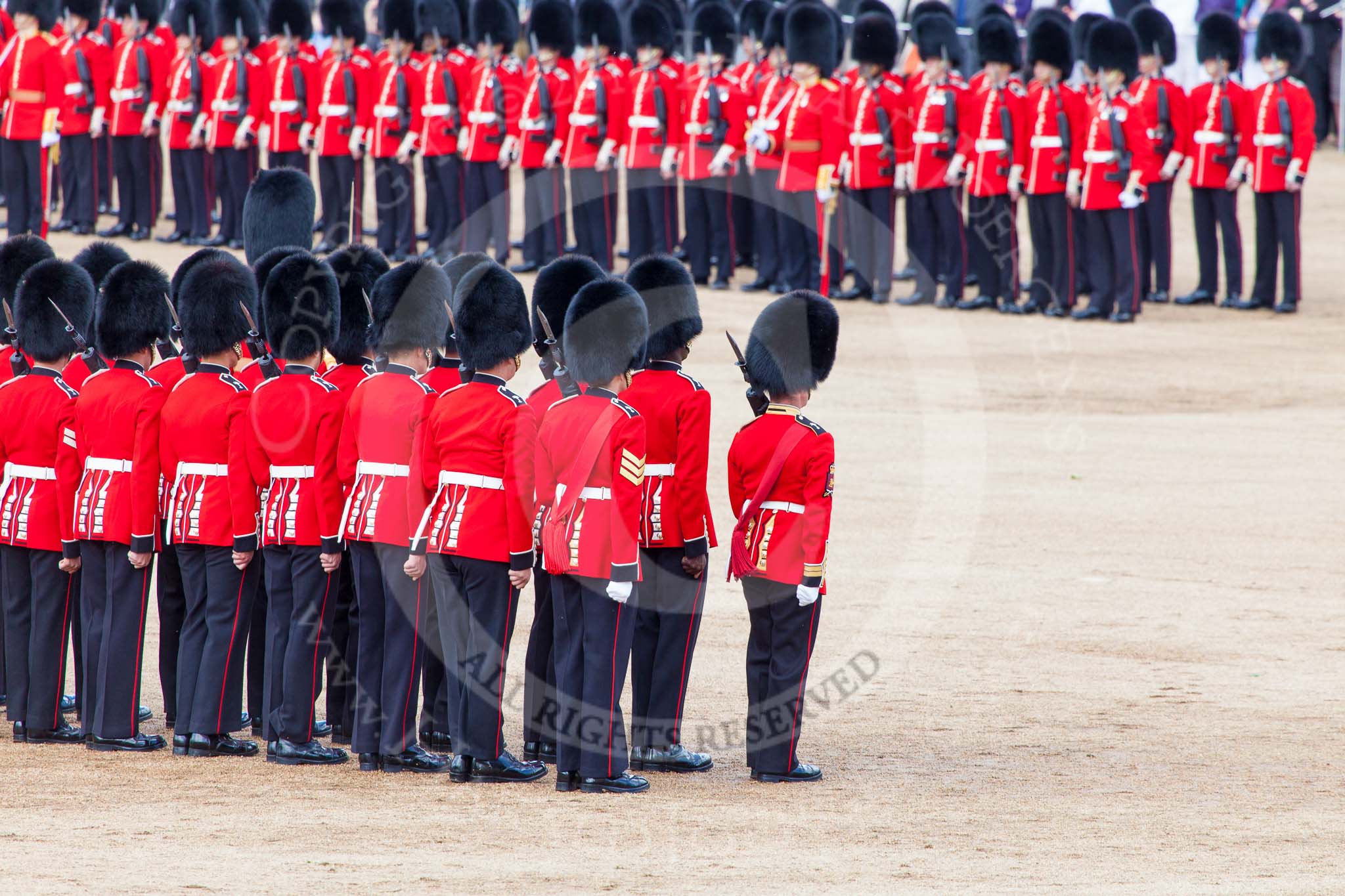 Trooping the Colour 2013: No. 1 Guard (Escort for the Colour),1st Battalion Welsh Guards is ready and in position to receive the Colour. Image #447, 15 June 2013 11:19 Horse Guards Parade, London, UK
