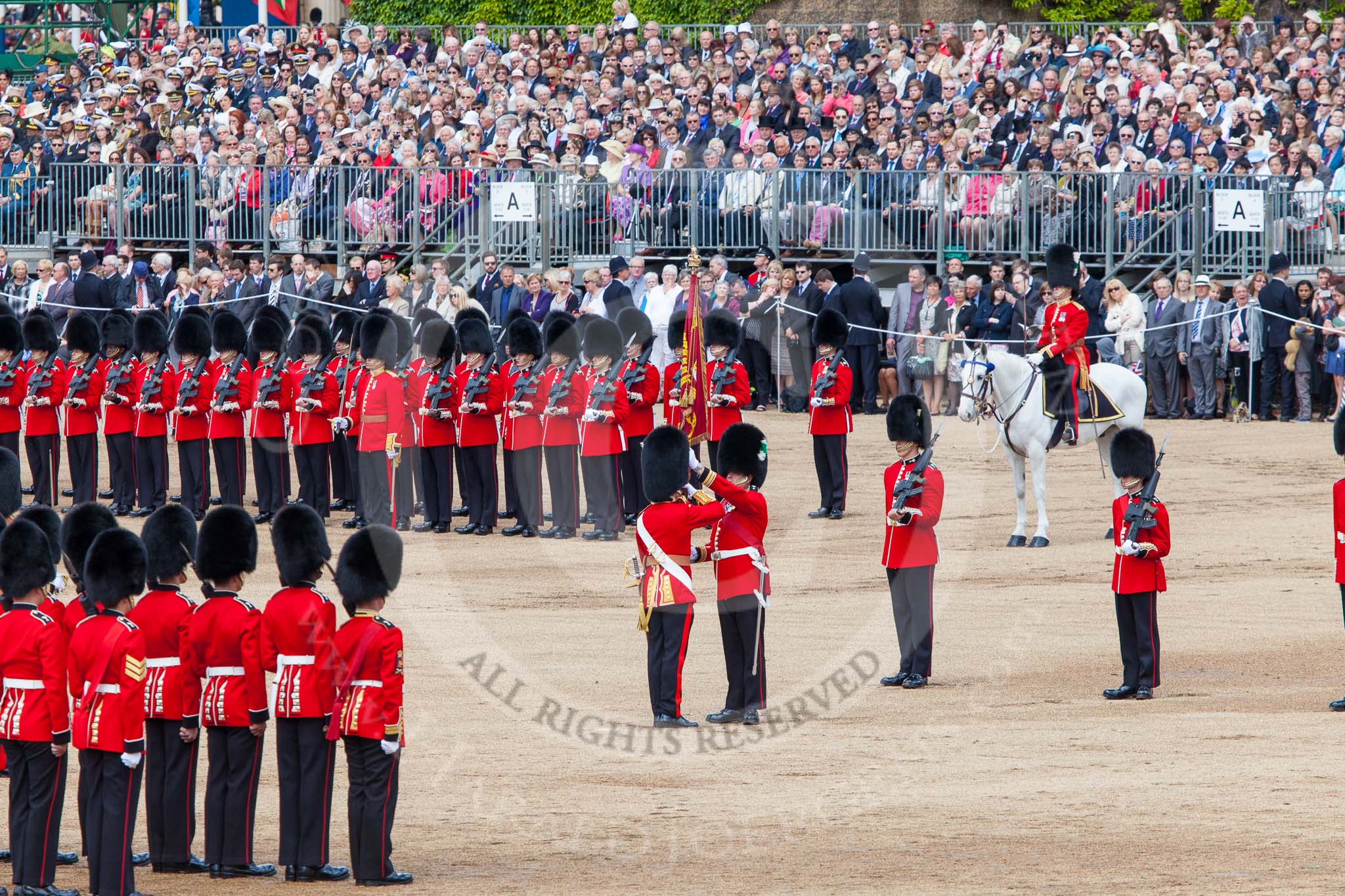 Trooping the Colour 2013: The Ensign, Ensign, Second Lieutenant Joel Dinwiddle, takes posession of the Colour from the Regimental Sergeant Major, WO1 Martin Topps, Welsh Guards. Image #456, 15 June 2013 11:21 Horse Guards Parade, London, UK