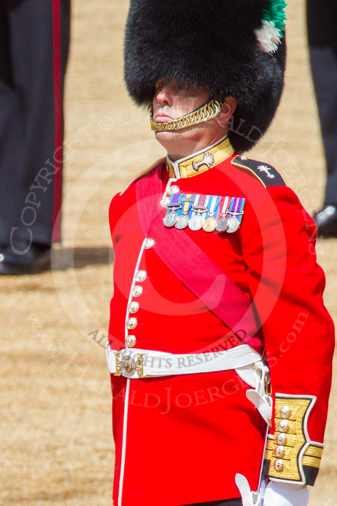 Trooping the Colour 2013: Close-up of the Regimental Sergeant Major, WO1 Martin Topps, Welsh Guards. Image #461, 15 June 2013 11:21 Horse Guards Parade, London, UK