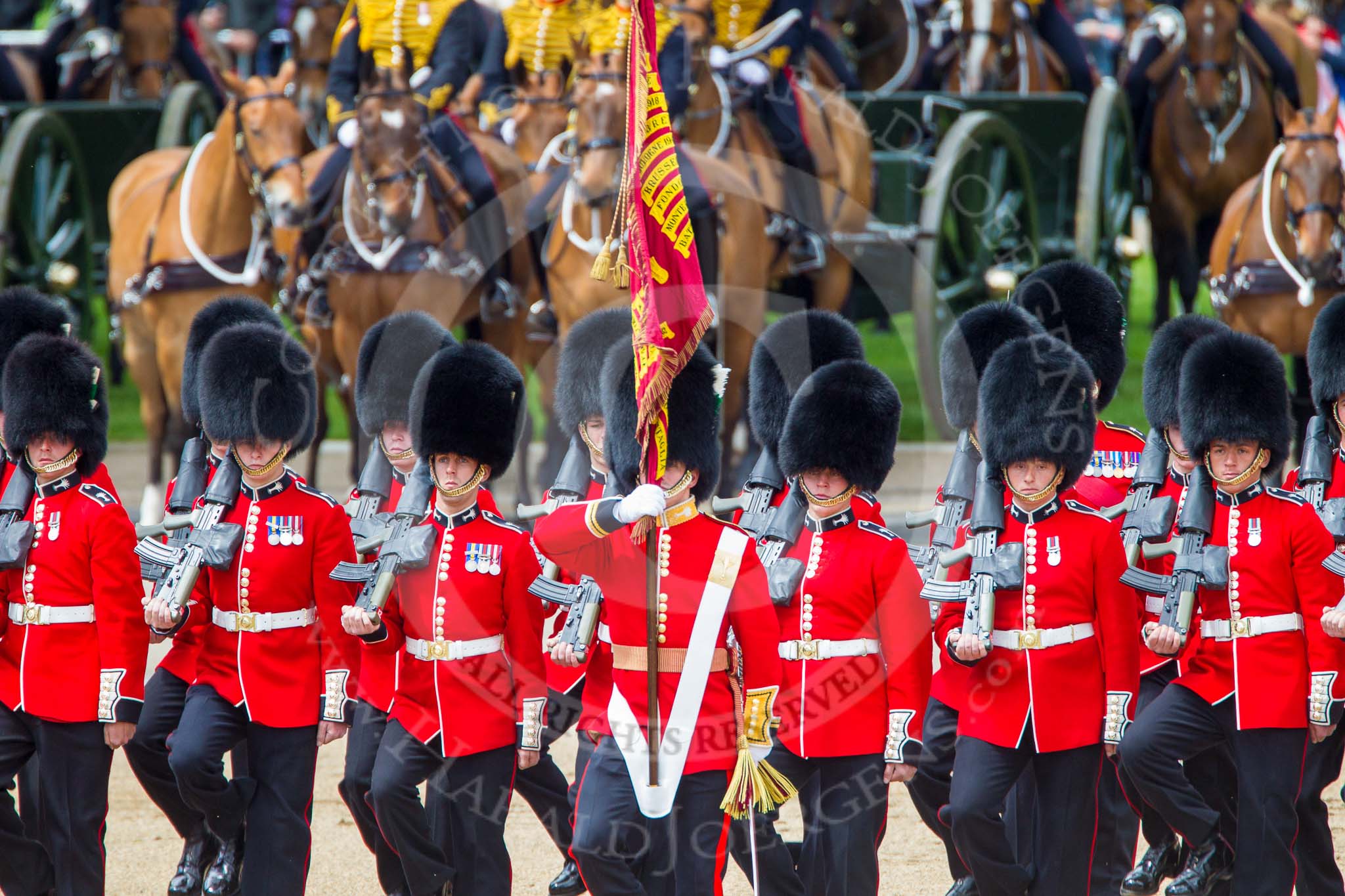 Trooping the Colour 2013: The Ensign, Second Lieutenant Joel Dinwiddle, and the Escort to the Colour, has trooped the Colour past No. 2 Guard, 1st Battalion Welsh Guards, and is now almost back to their initial position, when they were the Escort for the Colour. Image #504, 15 June 2013 11:28 Horse Guards Parade, London, UK