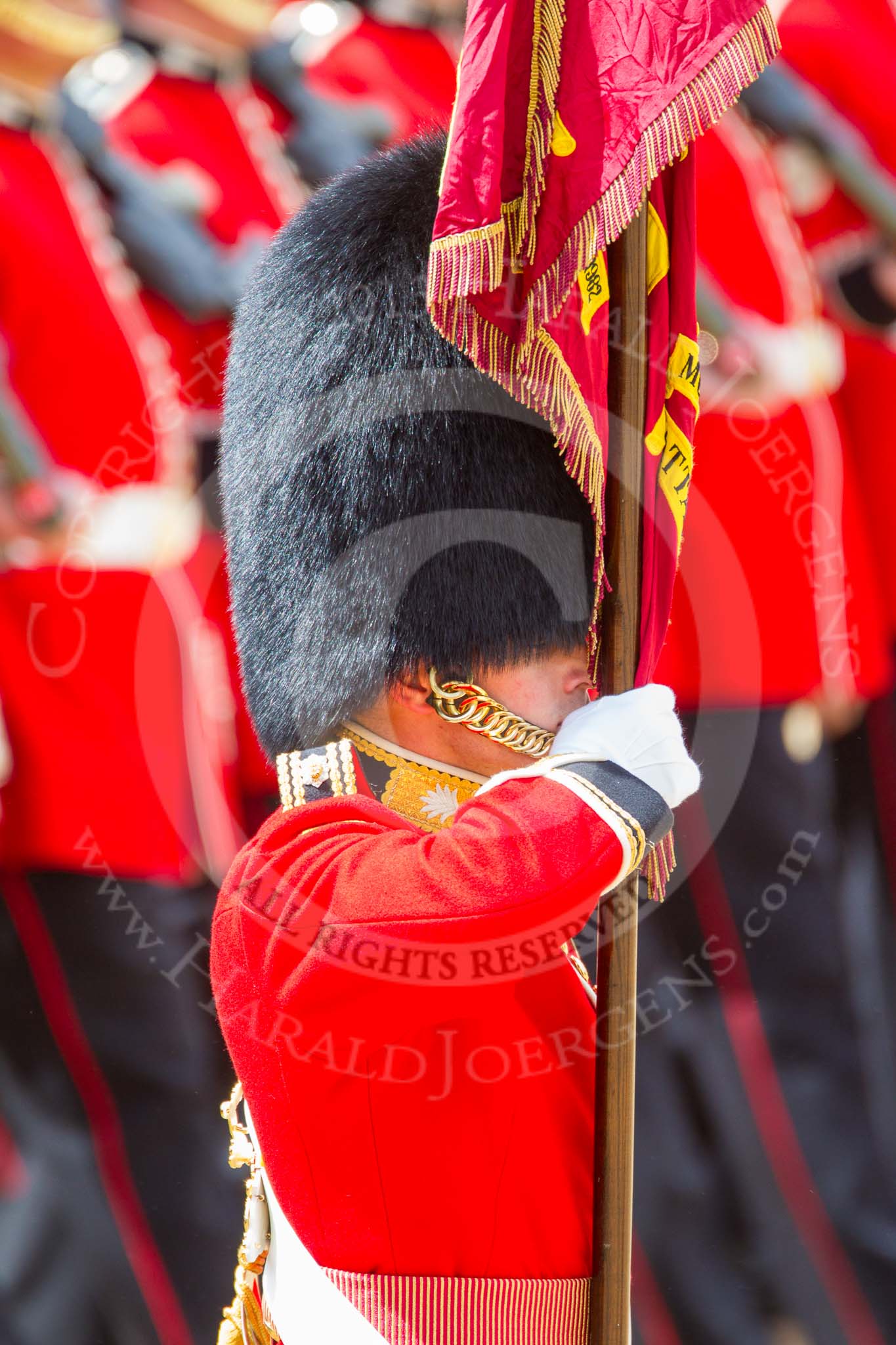 Trooping the Colour 2013: Close-up of the Ensign, Second Lieutenant Joel Dinwiddle, carrying the Colour during the March Past. Image #539, 15 June 2013 11:36 Horse Guards Parade, London, UK