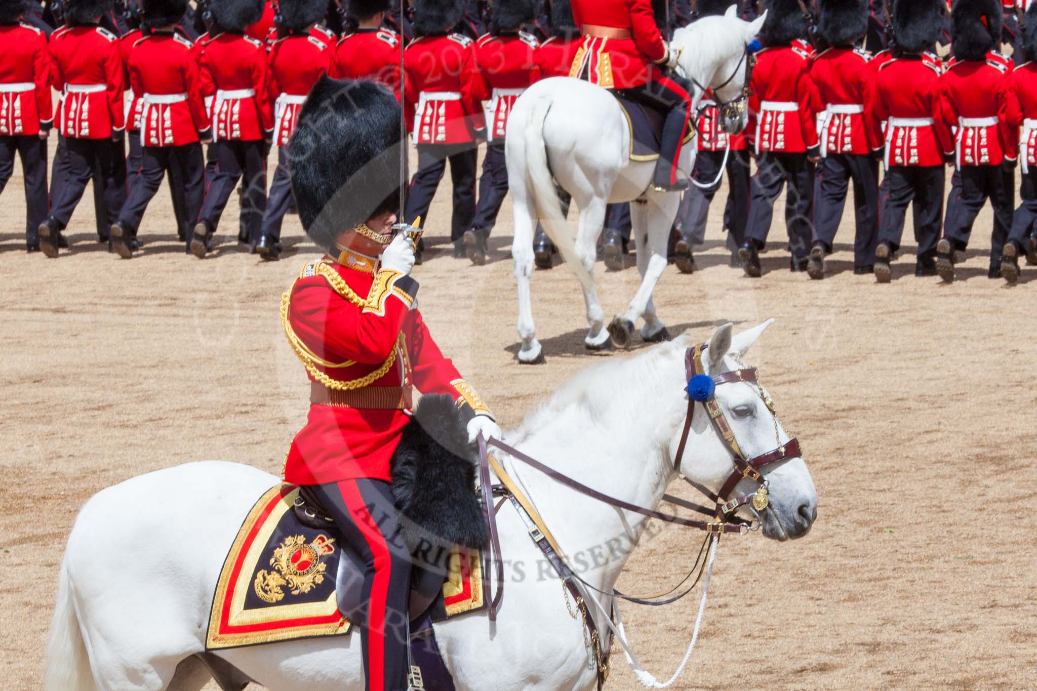 Trooping the Colour 2013: The Field Officer in Brigade Waiting, Lieutenant Colonel Dino Bossi, Welsh Guards, saluting Her Majesty. Image #565, 15 June 2013 11:39 Horse Guards Parade, London, UK
