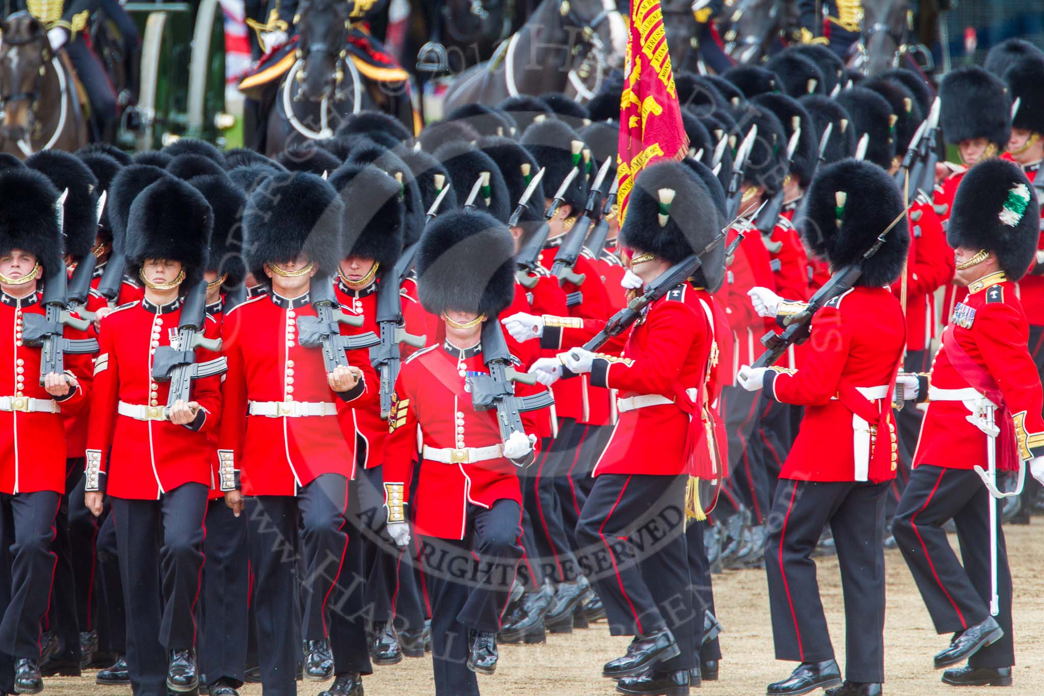 Trooping the Colour 2013: At the end of the March Past in Quick Time, all five guards on the northern side of Horse Guards Parade peform a ninety-degree-turn at the same time. Image #627, 15 June 2013 11:49 Horse Guards Parade, London, UK