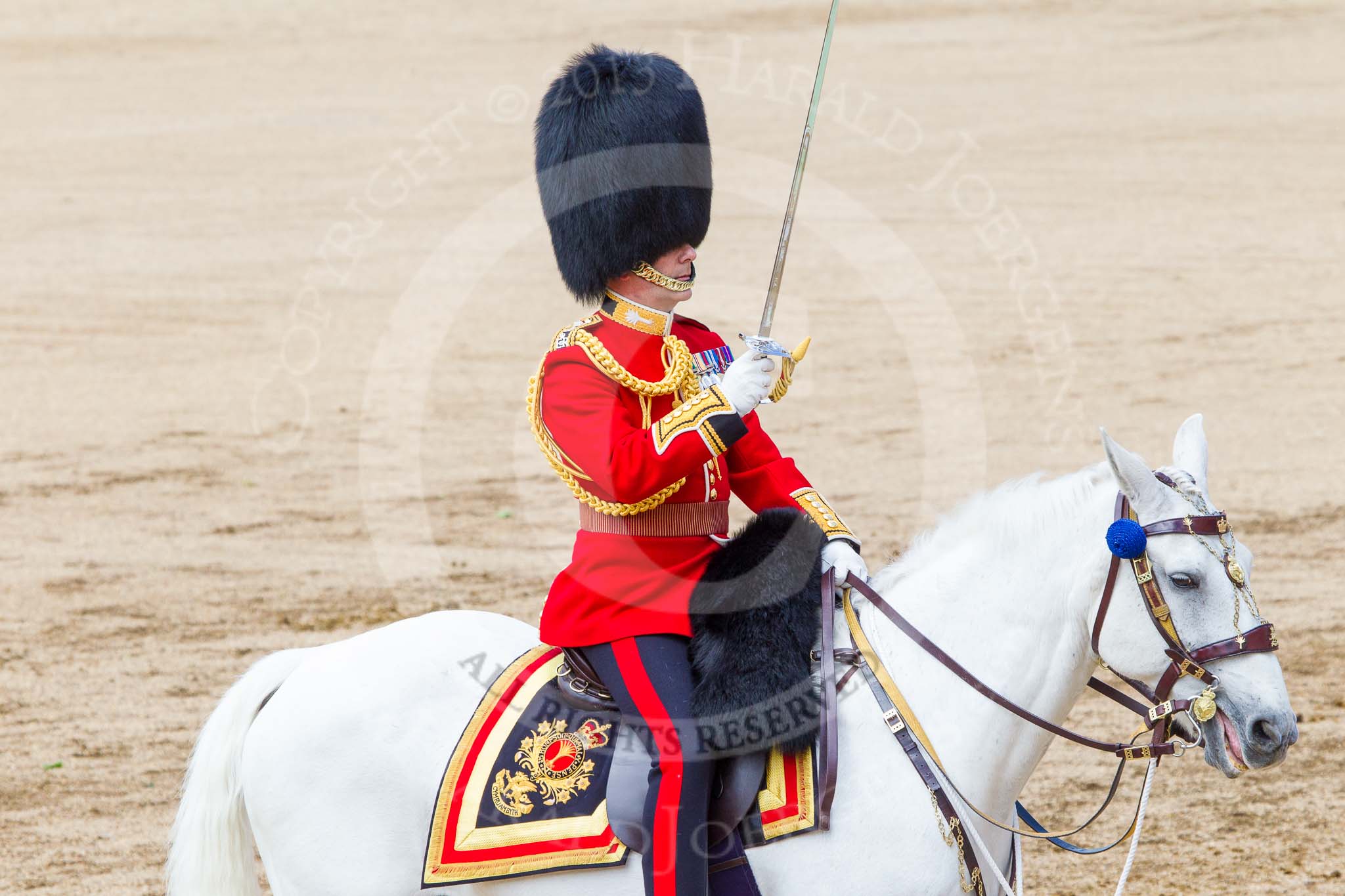 Trooping the Colour 2013: The Field Officer in Brigade Waiting, Lieutenant Colonel Dino Bossi, Welsh Guards, salutes Her Majesty before asking permission to march off. Image #788, 15 June 2013 12:07 Horse Guards Parade, London, UK