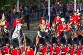 Trooping the Colour 2013: The Chief of Staff, Colonel Hugh Bodington, Welsh Guards, and other members of the Royal Procession (see the following images) are turning onto Horse Guards Parade..
Horse Guards Parade, Westminster,
London SW1,

United Kingdom,
on 15 June 2013 at 10:58, image #268