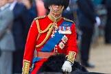 Trooping the Colour 2013: Close-up of HRH The Prince of Wales, Colonel Welsh Guards, on horseback during the Inspection of the line..
Horse Guards Parade, Westminster,
London SW1,

United Kingdom,
on 15 June 2013 at 11:02, image #305