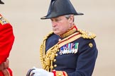 Trooping the Colour 2013: The Crown Equerry Colonel Toby Browne, during the Inspection of the Line..
Horse Guards Parade, Westminster,
London SW1,

United Kingdom,
on 15 June 2013 at 11:02, image #317