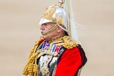 Trooping the Colour 2013: Gold Stick in Waiting and Colonel Life Guards, Field Marshal the Lord Guthrie of Craigiebank, during the Inspection of the Line..
Horse Guards Parade, Westminster,
London SW1,

United Kingdom,
on 15 June 2013 at 11:02, image #320
