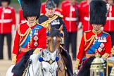 Trooping the Colour 2013: HRH The Duke of Cambridge, Colonel Irish Guards and HRH The Prince of Wales, Colonel Welsh Guards on horseback after the Inspection of the line..
Horse Guards Parade, Westminster,
London SW1,

United Kingdom,
on 15 June 2013 at 11:07, image #370