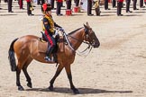 Trooping the Colour 2013: The Ride Past - the King's Troop Royal Horse Artillery..
Horse Guards Parade, Westminster,
London SW1,

United Kingdom,
on 15 June 2013 at 11:54, image #664