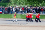 Trooping the Colour 2013: Drum Major Tony Taylor, Coldstream Guards, leading the second band to arrive at Horse Guards Parade, the Band of the Irish Guards, from Horse Guards road onto Horse Guards Parade, past a crowd watching from St James's Park. Image #52, 15 June 2013 10:15 Horse Guards Parade, London, UK