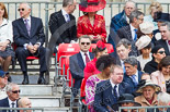Trooping the Colour 2013 (spectators). Image #1017, 15 June 2013 10:27