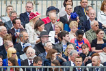 Trooping the Colour 2013 (spectators). Image #1018, 15 June 2013 10:27
