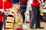 Trooping the Colour 2013: Close-up of Drum Major D P Thomas, Grenadier Guards. Image #102, 15 June 2013 10:30 Horse Guards Parade, London, UK