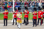 Trooping the Colour 2013: Drum Major Neill Lawman, Welsh Guards, leading the Band of the Welsh Guards onto Horse Guards Parade, along the line of spectators at St James's Park. Image #110, 15 June 2013 10:31 Horse Guards Parade, London, UK