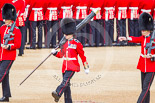 Trooping the Colour 2013: The Colour Party has reached their position on Horse Guards Parade - Colour Sergeant R J Heath, Welsh Guards, carrying the Colour, and the two sentries. Image #113, 15 June 2013 10:31 Horse Guards Parade, London, UK