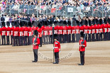 Trooping the Colour 2013: The Colour Party has reached their position on Horse Guards Parade - Colour Sergeant R J Heath, Welsh Guards, carrying the Colour, and the two sentries. Image #114, 15 June 2013 10:32 Horse Guards Parade, London, UK