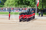 Trooping the Colour 2013: No. 1 Guard (Escort for the Colour),1st Battalion Welsh Guards. Behind them spectators watching from St James's Park. Image #116, 15 June 2013 10:32 Horse Guards Parade, London, UK