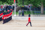 Trooping the Colour 2013: The Subaltern of No. 1 Guard, Captain F O Lloyd-George, who has been commanding the guard from Wellington Barracks to Horse Guards Parade, marches off to Horse Guards Arch, to return later with the other 17 officers, three for each guard. Image #118, 15 June 2013 10:33 Horse Guards Parade, London, UK