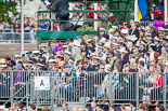 Trooping the Colour 2013 (spectators). Image #1032, 15 June 2013 10:48