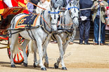 Trooping the Colour 2013: The two Windsor Grey horses pulling the Glass Coach that carries HM The Queen. Image #272, 15 June 2013 10:59 Horse Guards Parade, London, UK