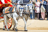 Trooping the Colour 2013: The two Windsor Grey horses pulling the Glass Coach that carries HM The Queen. Image #273, 15 June 2013 10:59 Horse Guards Parade, London, UK